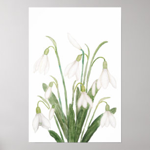 witte sneeuwbloem botanische waterverf poster