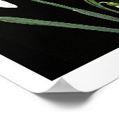 Witte sneeuwbloemen lenteren op zwarte fijne kunst poster (Hoek)