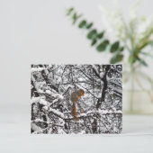  witte sneeuweekhoorn briefkaart (Staand voorkant)