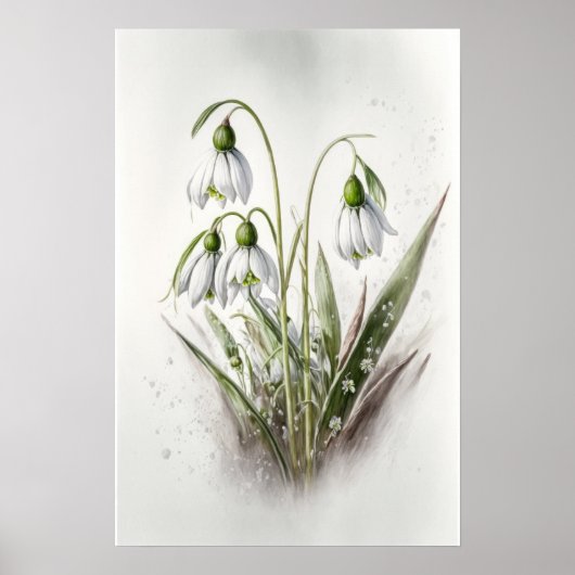 Witte Sneeuwklokbloemen Art Print Poster (Voorkant)