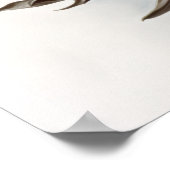 Witte Sneeuwklokbloemen Art Print Poster (Hoek)