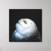 Witte Sneeuwuil in de Winter Canvas Afdruk (Voorkant)