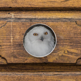 Witte Sneeuwuil Natuur Foto Keramische Knop