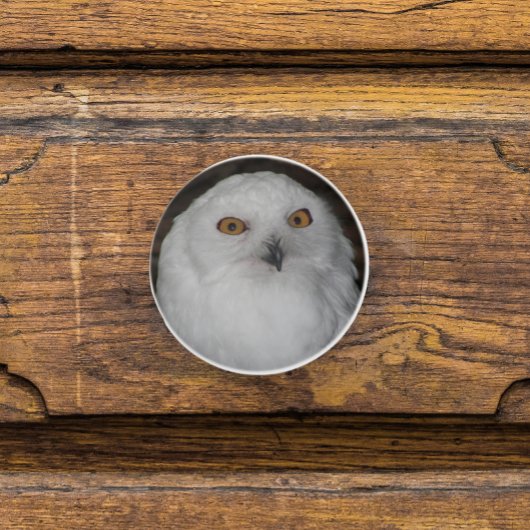 Witte Sneeuwuil Natuur Foto Keramische Knop