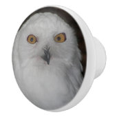 Witte Sneeuwuil Natuur Foto Keramische Knop (Rechts)