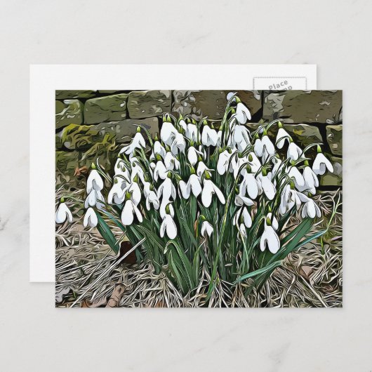 Witte sneeuwval, eerste briefkaart met bloem (Voorkant / Achterkant)