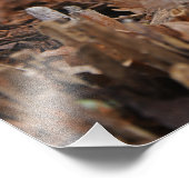 Witte sneeuwval viering van het leven foto afdruk (Hoek)