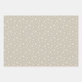 Witte sneeuwvlok Patroon Kerst Vakantie Pastel Inpakpapier Vel (Voorkant 2)
