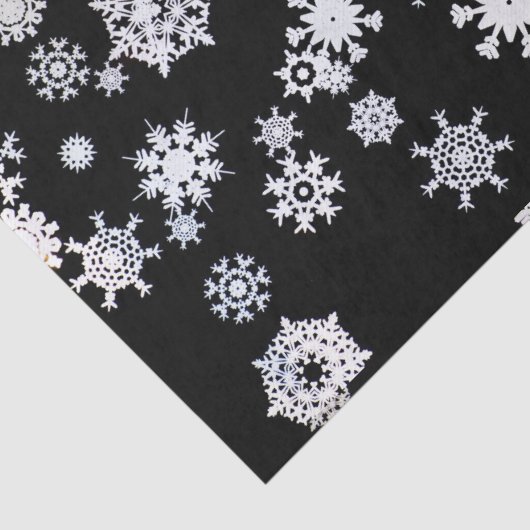 Witte sneeuwvlokken op zwart papier (Detail)