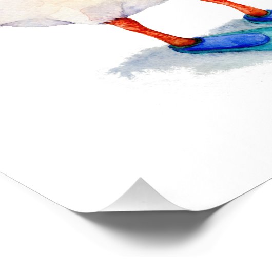 Witte snorkelende gans foto afdruk (Hoek)