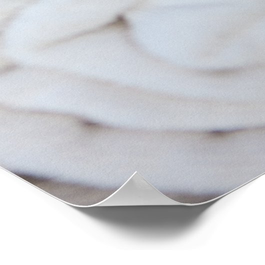 Witte SPA-handdoek Poster (Hoek)