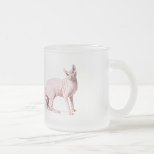 Witte spinnekkkat uit mok (Rechts)