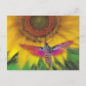 witte spinnex briefkaart (Voorkant)