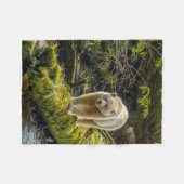 Witte Spirit Bear | Brits-Columbia, Canada Fleece Deken (Voorkant (Horizontaal))