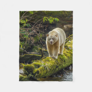 Witte Spirit Bear Brits-Columbia, Canada Fleece Deken