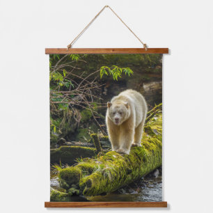 Witte Spirit Bear   Brits-Columbia, Canada Hangend Wandkleed