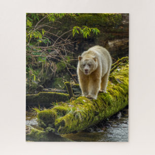Witte Spirit Bear   Brits-Columbia, Canada Legpuzzel