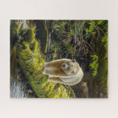 Witte Spirit Bear | Brits-Columbia, Canada Legpuzzel (Horizontaal)