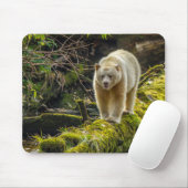 Witte Spirit Bear | Brits-Columbia, Canada Muismat (Met muis)