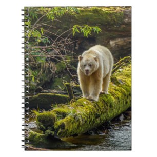 Witte Spirit Bear Brits-Columbia, Canada Notitieboek