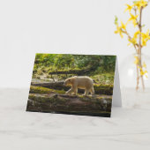 Witte Spirit Bear Jaagt Kaart (Gele Bloem)