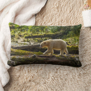 Witte Spirit Bear Jaagt Kussen
