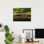 Witte Spirit Bear jaagt Poster (Thuiskantoor)