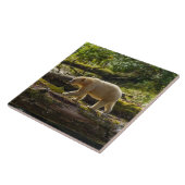Witte Spirit Bear Jaagt Tegeltje (Zijkant)