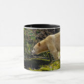 Witte Spirit Bear Mok (Midden)