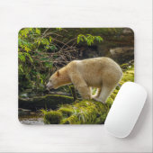 Witte Spirit Bear Muismat (Met muis)