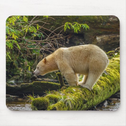 Witte Spirit Bear Muismat (Voorkant)