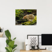 Witte Spirit Bear Poster (Thuiskantoor)