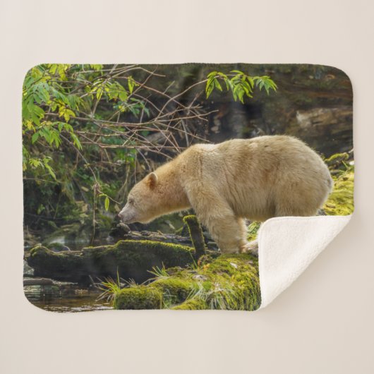 Witte Spirit Bear Sherpa Deken (Voorkant (horizontaal))