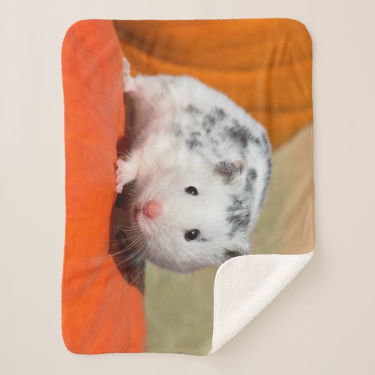 Witte spots van de Syrische hamster, Funny Pet op Sherpa Deken (Voorkant)