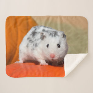 Witte spots van de Syrische hamster, Funny Pet op Sherpa Deken