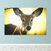 Witte staart Button Buck Canvas Afdruk (Insitu (Houten vloer))