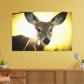 Witte staart Button Buck Canvas Afdruk (Insitu (Woonkamer))