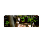 Witte Staart Doe Etiket (Voorkant)