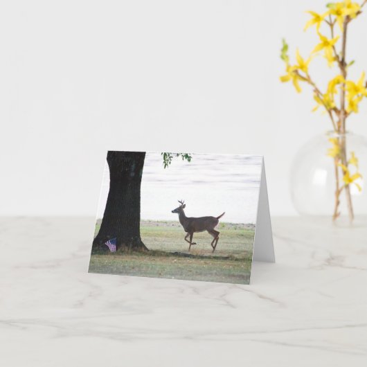 Witte staart en vlag kaart (Gele Bloem)