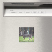 Witte staart herten 2" magneet (Insitu (Vaatwasser))