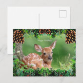 Witte-staart herten Fawn kerst Kaart (Voorkant / Achterkant)