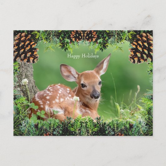 Witte-staart herten Fawn kerst Kaart (Voorkant)