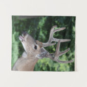 witte staart in vet wandkleed (Voorkant (horizontaal))