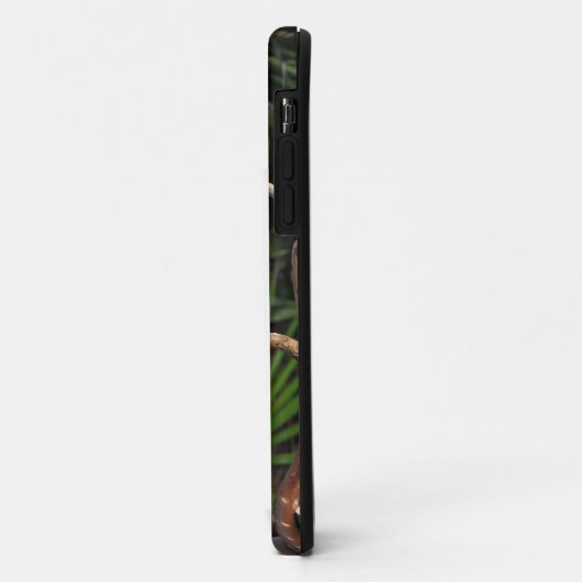 Witte staartappel Case-Mate iPhone case (Achterkant/links)