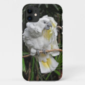 Witte staartappel Case-Mate iPhone case (Achterkant)