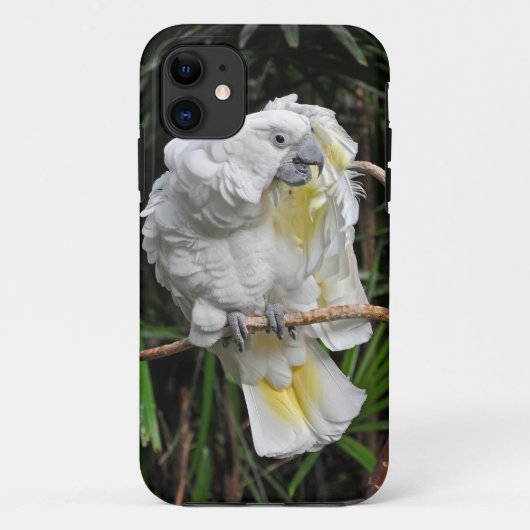 Witte staartappel Case-Mate iPhone case (Achterkant)