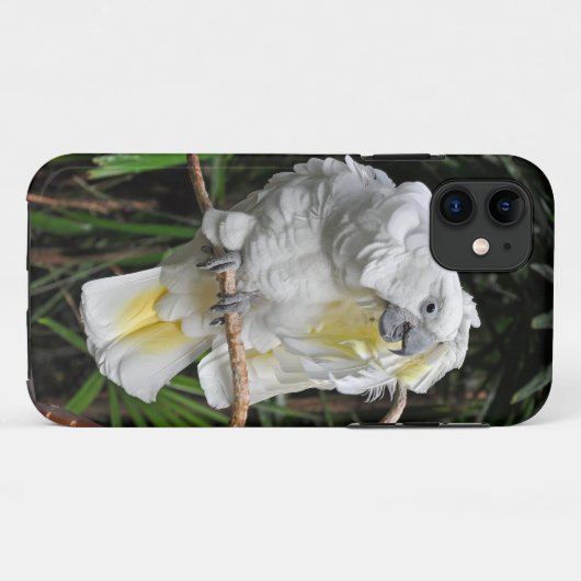 Witte staartappel Case-Mate iPhone case (Achterkant (horizontaal))