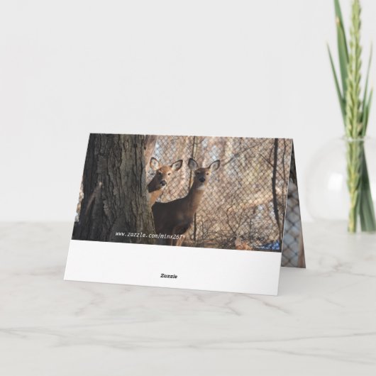 Witte staartherten Happy Birthday Kaart (Achterkant)