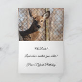 Witte staartherten Happy Birthday Kaart (Binnen)