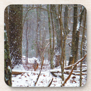 witte staartherten in de sneeuw bier onderzetter